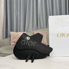 Dior Waist Chest Packs
